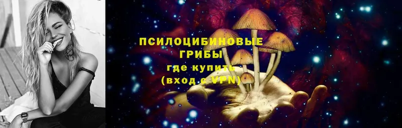 Псилоцибиновые грибы Psilocybe  Ноябрьск 